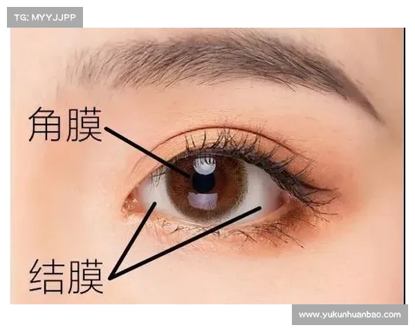 失明如何激发独特感知能力的潜力与发展探索 失明如何激发独特感知能力的潜力与发展探索