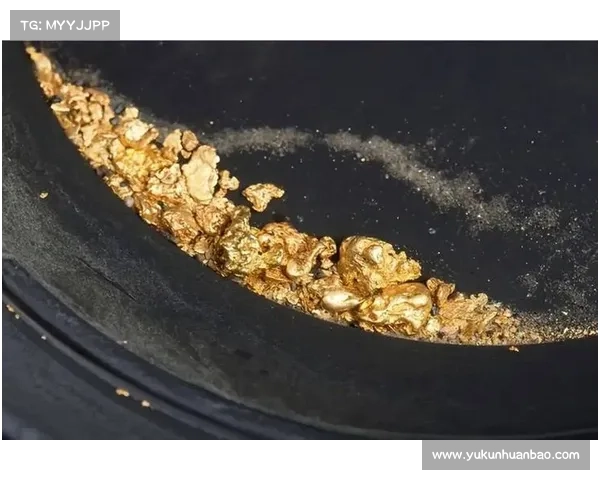 全球金矿石资源分布格局与主要开采地区空间联系研究 全球金矿石资源分布格局与主要开采地区空间联系研究