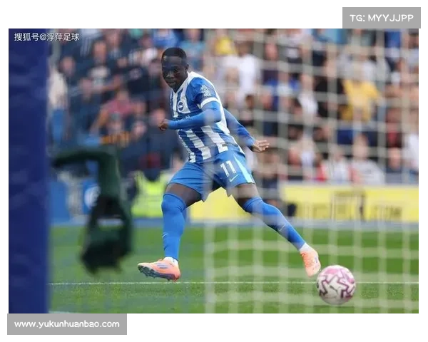 以维尔贝克为何被球迷称为黑贝这个绰号背后的真实原因揭秘